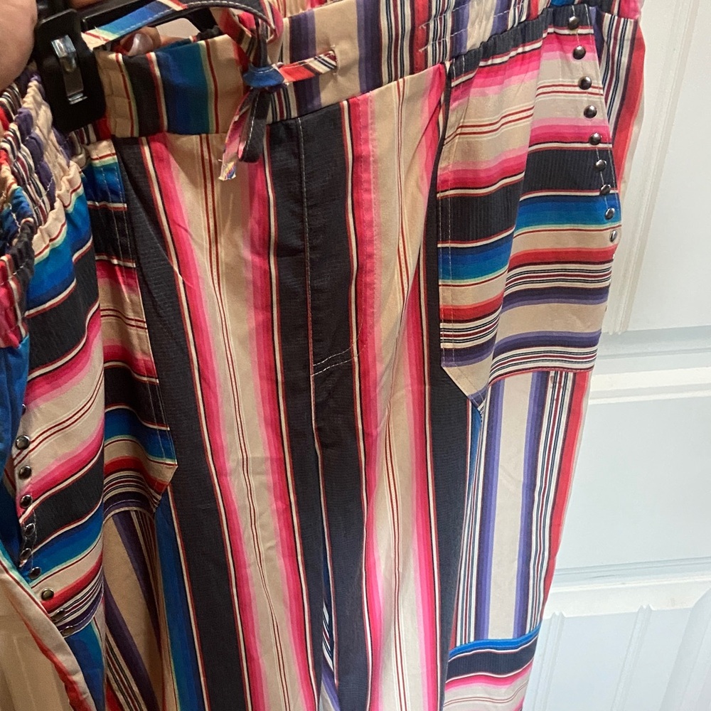 Crazy Train Multicolor Striped Pants